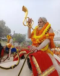 Nirvani Akhara - Mahakumbh Attractions