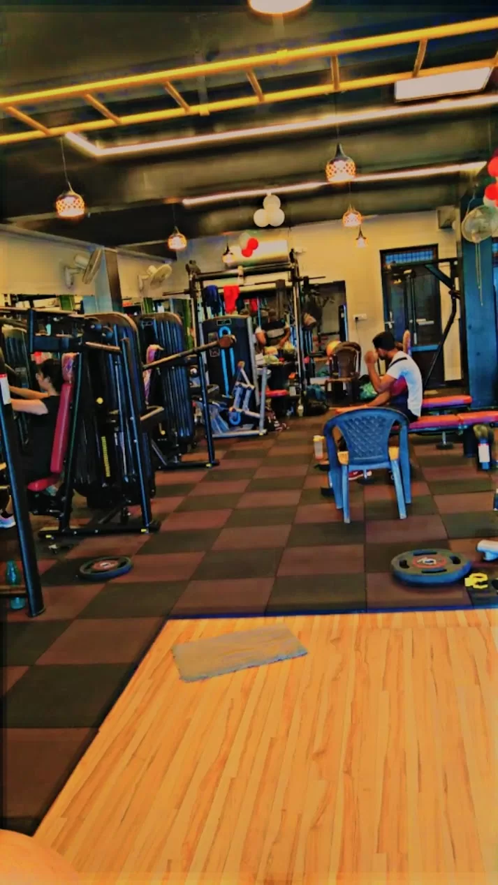 The Fitness Freak Gym