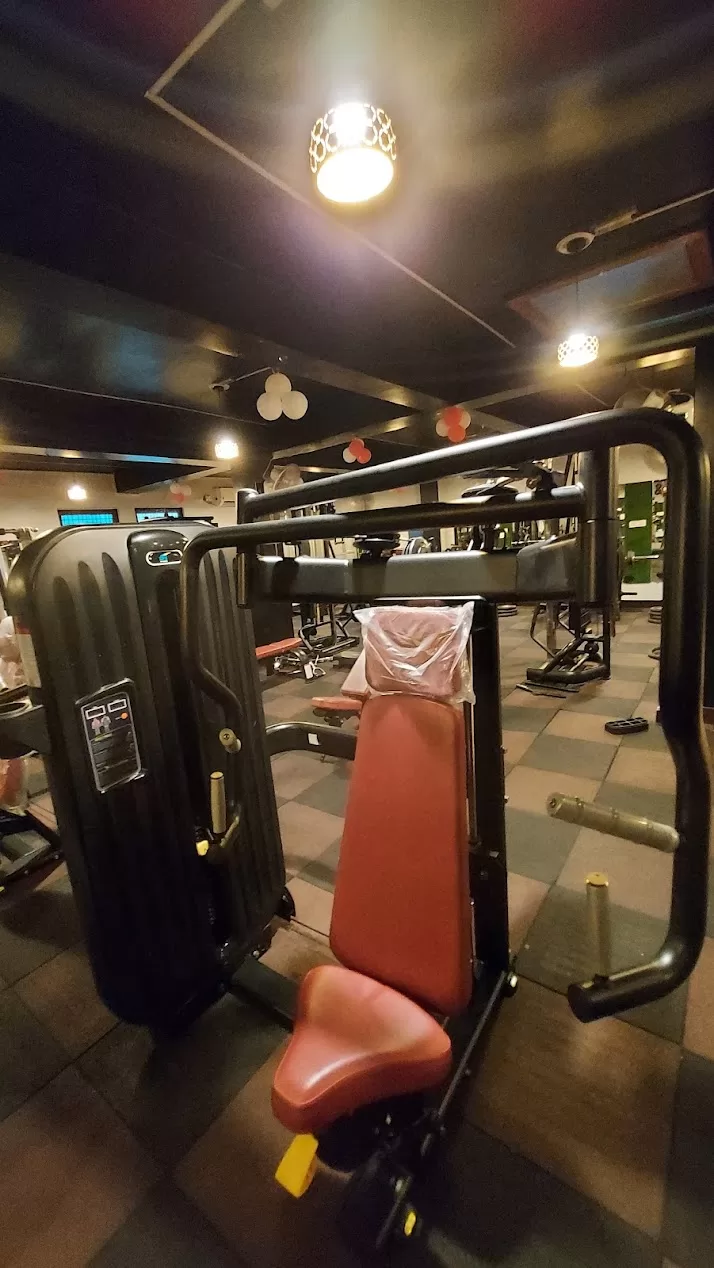 The Fitness Freak Gym