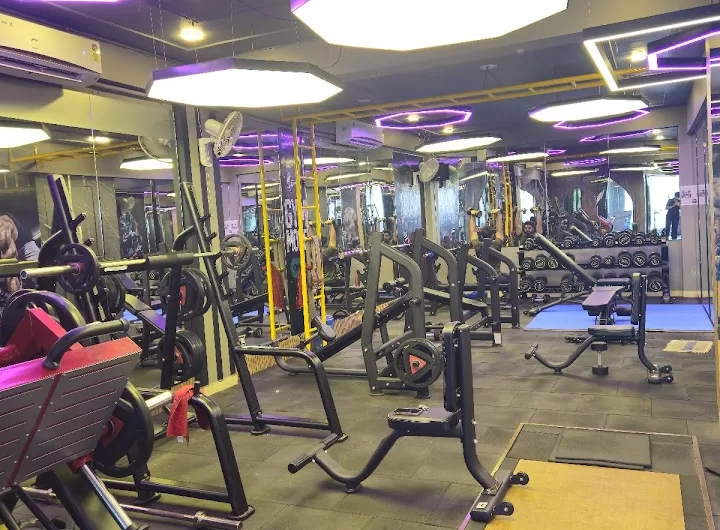 Fit Flex Pro Unisex Gym