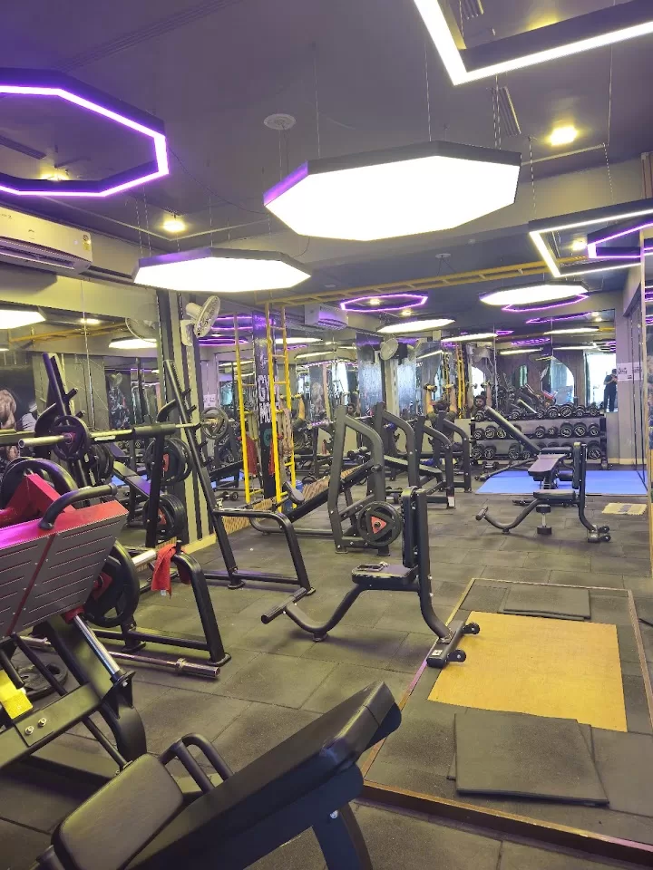 Fit Flex Pro Unisex Gym