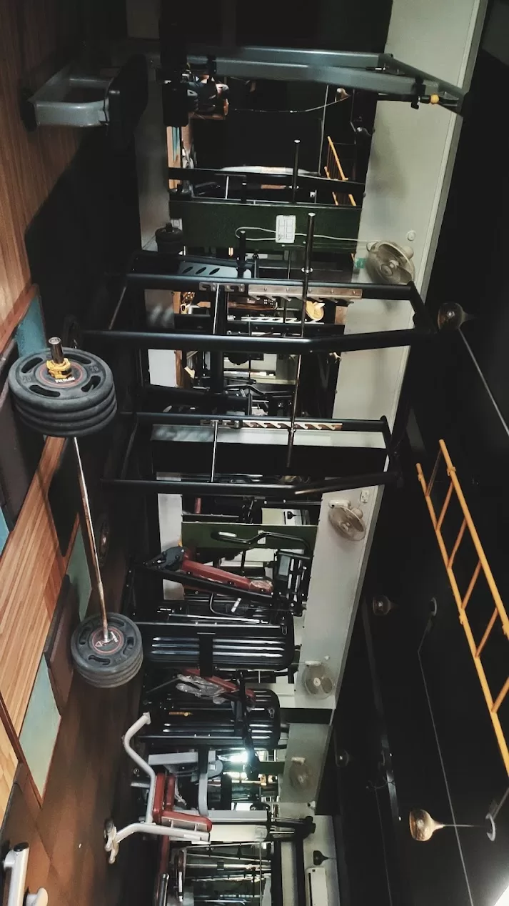 The Fitness Freak Gym