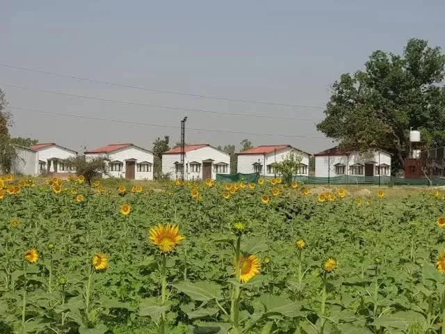 Living Green Farms Prayagraj