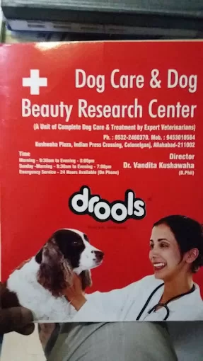 Dog Care Centre in Prayagraj – Trusted Veterinary Services in Prayagraj