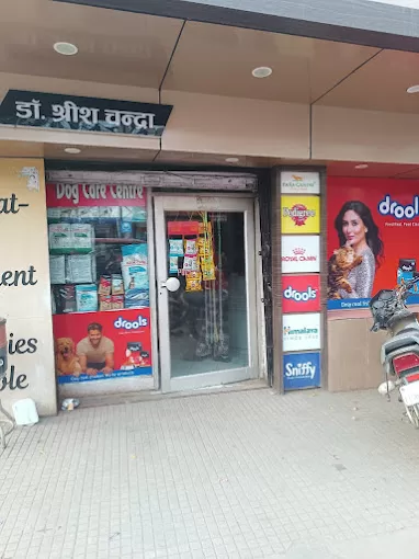 Dog Care Centre in Prayagraj – Trusted Veterinary Services in Prayagraj