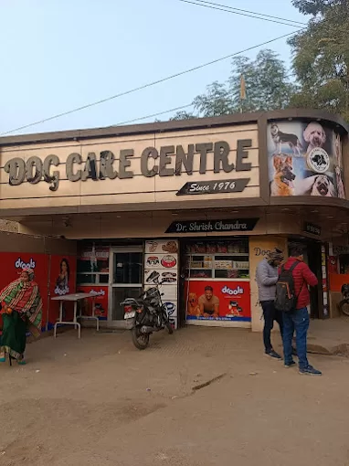 Dog Care Centre in Prayagraj – Trusted Veterinary Services in Prayagraj