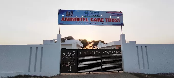 Animotel Care Trust – Rescue, Rehabilitate, Rehome – A safe place for all animals in Varanasi UP