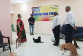 Animotel Care Trust – Rescue, Rehabilitate, Rehome – A safe place for all animals in Varanasi UP