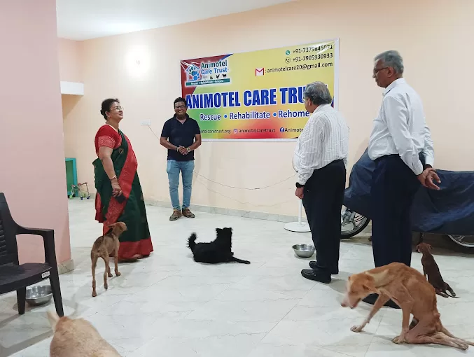 Animotel Care Trust – Rescue, Rehabilitate, Rehome – A safe place for all animals in Varanasi UP