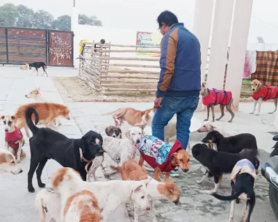 Animotel Care Trust for un-owned street animals