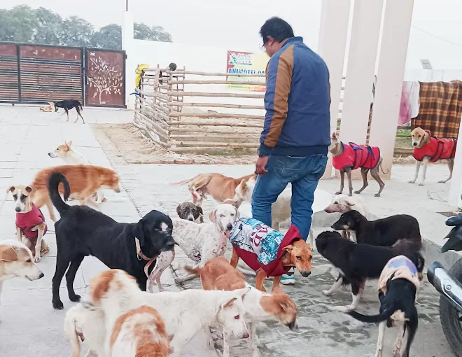 Animotel Care Trust – Rescue, Rehabilitate, Rehome – A safe place for all animals in Varanasi UP