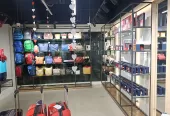 BAGLINE – Your Destination for Luxury Bags and Accessories in Prayagraj