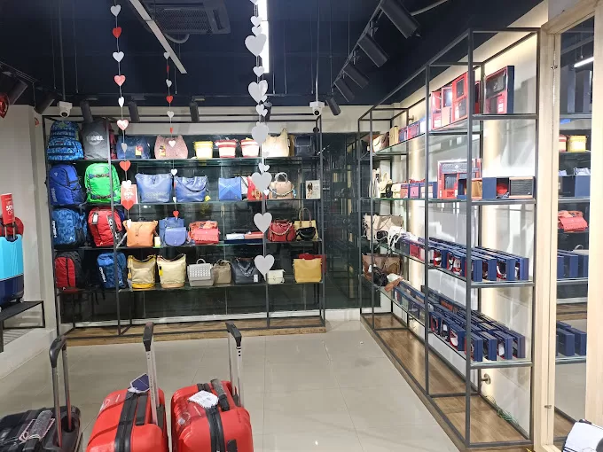 BAGLINE – Your Destination for Luxury Bags and Accessories in Prayagraj