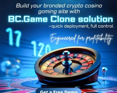 BC Game Clone solution