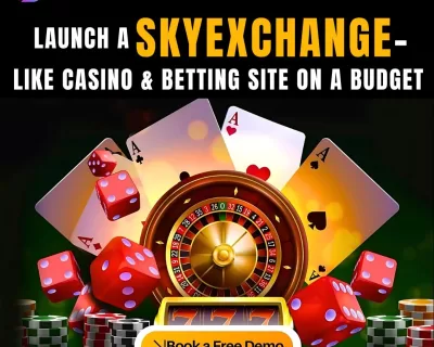 Dappsfirm Skyexchange Clone Script