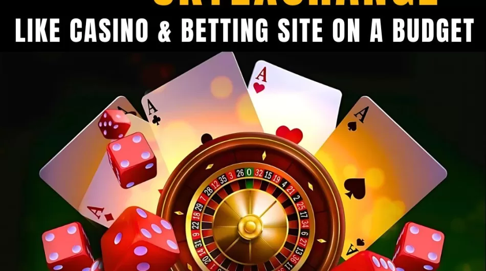 Skyexchanges Clone Script: Perfect for Enhancing Your Crypto Sports & Casino Services
