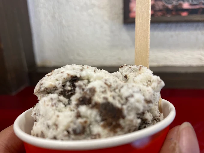 Experience Timeless Indulgence Since 1956 – Giani’s Legendary Ice Cream, Shakes & Sundaes in Civil Lines, Prayagraj