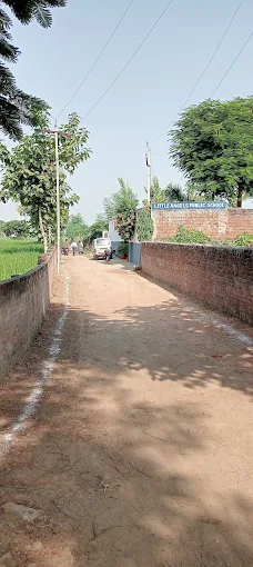 Distinguished Excellence in Education – Little Angels Public School, a Prestigious School in Naini Prayagraj