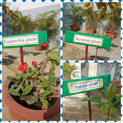 Distinguished Excellence in Education – Little Angels Public School, a Prestigious School in Naini Prayagraj