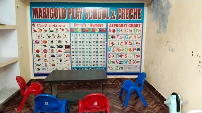 Nurturing Excellence at Marigold Play School & Creche – A Trusted Foundation for Early Childhood Learning in Prayagraj