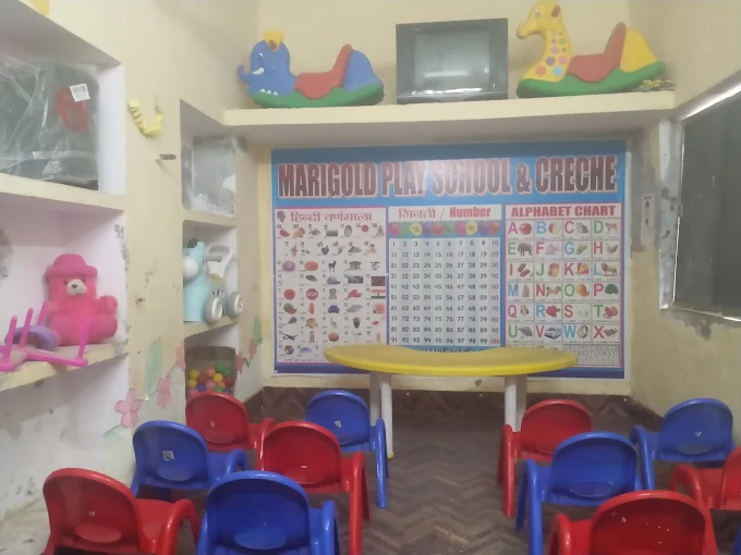 Nurturing Excellence at Marigold Play School & Creche – A Trusted Foundation for Early Childhood Learning in Prayagraj