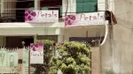 Inspiring Young Minds with Care & Creativity – Petals A School For Kids, a Trusted Preschool in Prayagraj